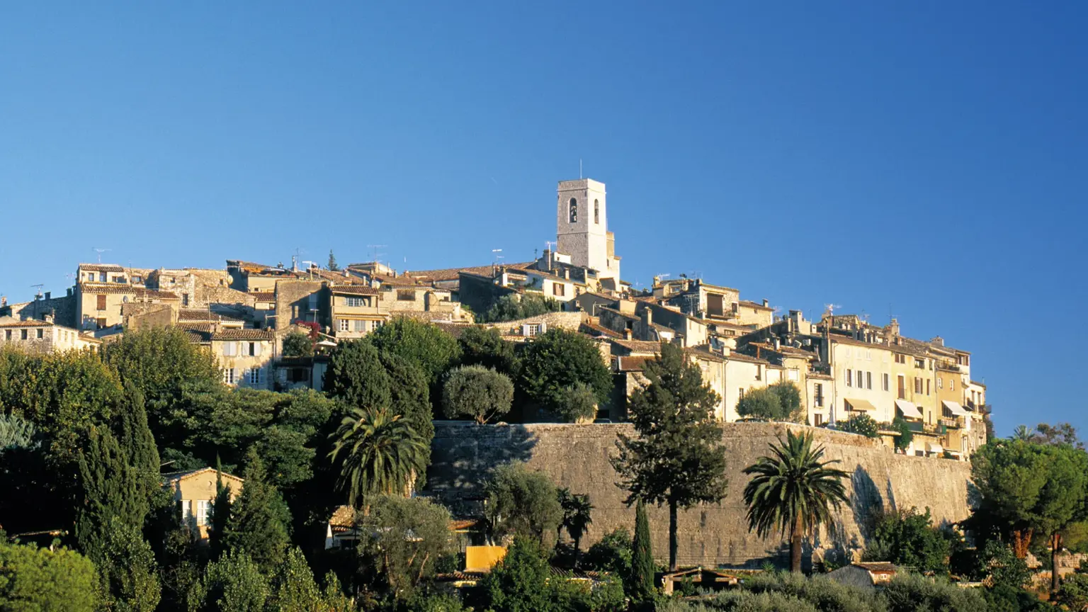 A medieval hill town of pale stone houses crowned by a church tower, with palms and ramparts below.