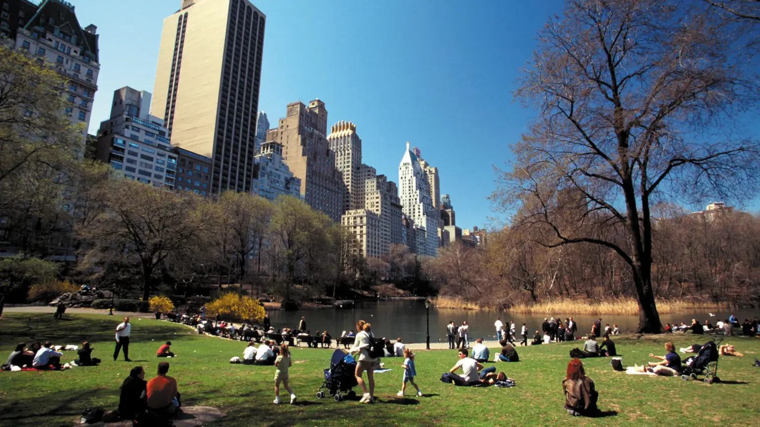People relaxing on the sunlit lawn of Central Park beside the lake, with the Manhattan skyline rising behind the trees