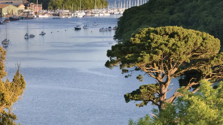 Sailing boats and fishing vessels moored in a sheltered estuary stretching between wooded hills toward a hilltop village