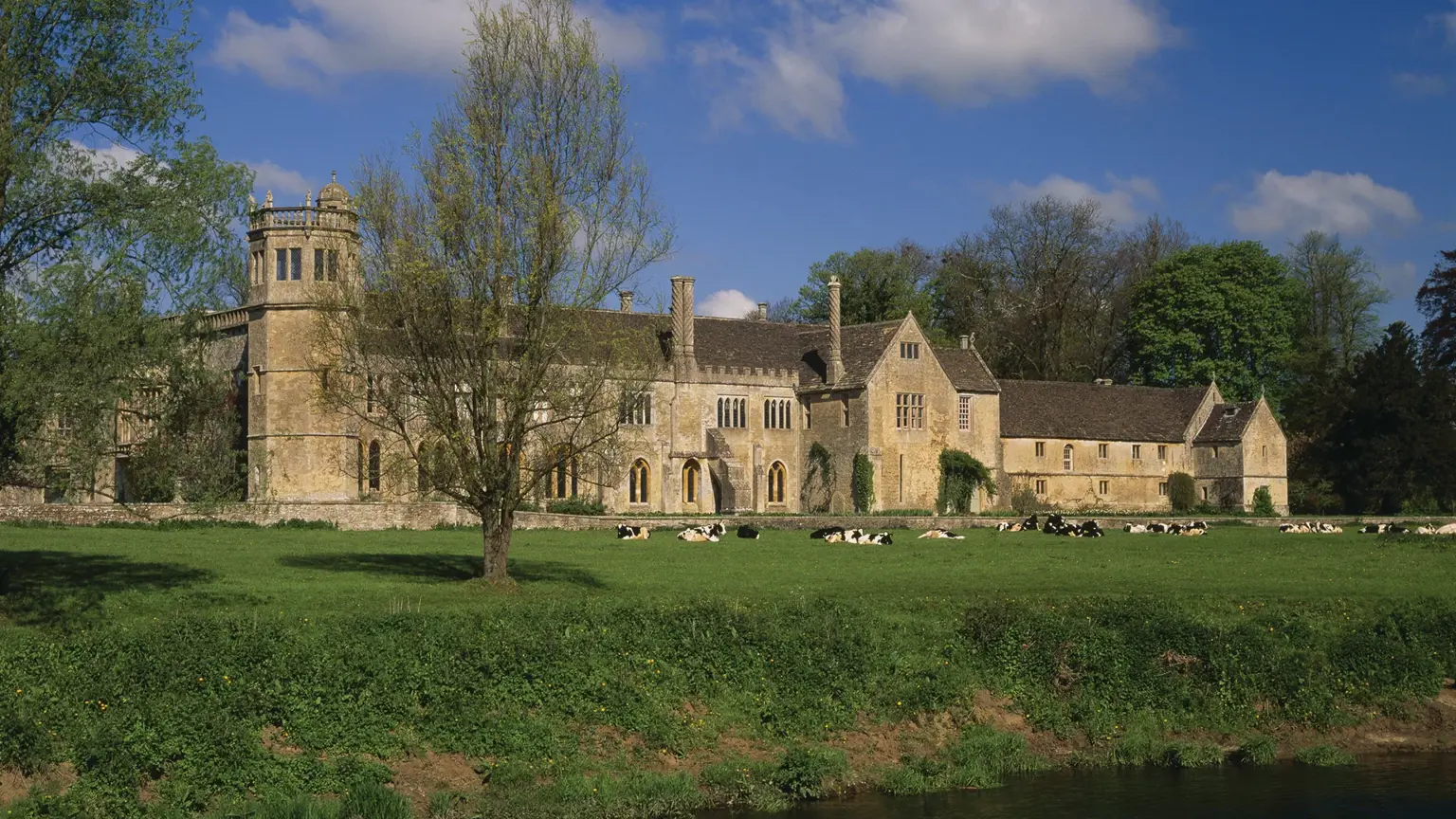 Honey-coloured stone facade of Lacock Abbey with its Gothic windows, set in the manicured National Trust grounds of Lacock village in Wiltshire