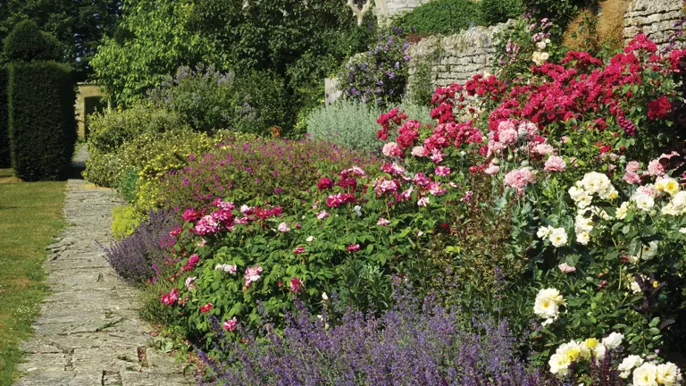 Cotswold-stone manor house seen across a stone path lined with lavender, deep pink roses and bright herbaceous borders