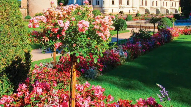 A turreted Renaissance chateau behind beds of bright pink flowers and clipped lawns.
