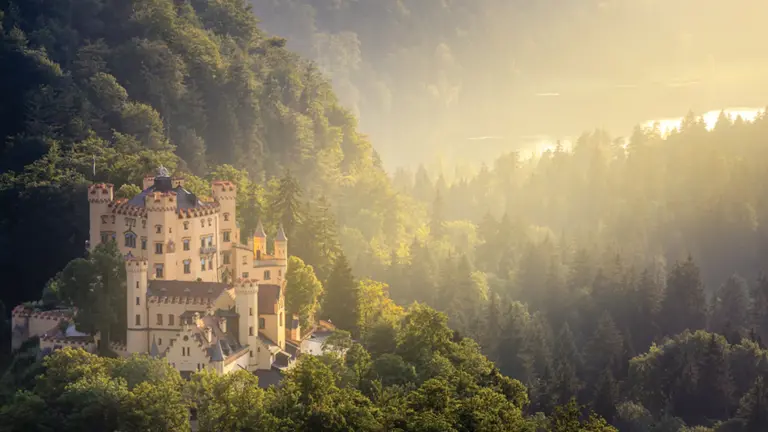 The yellow Hohenschwangau Castle on a wooded hillside, sunlit mist rising from the forested Alpine valley around it