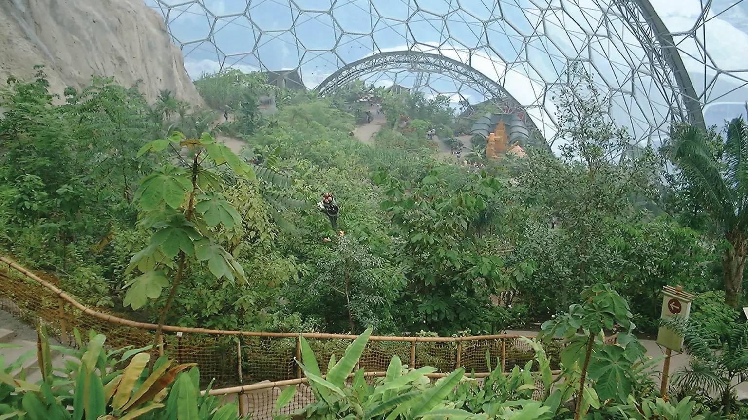 Lush tropical foliage inside the geodesic biome at the Eden Project, with hexagonal panels arching overhead