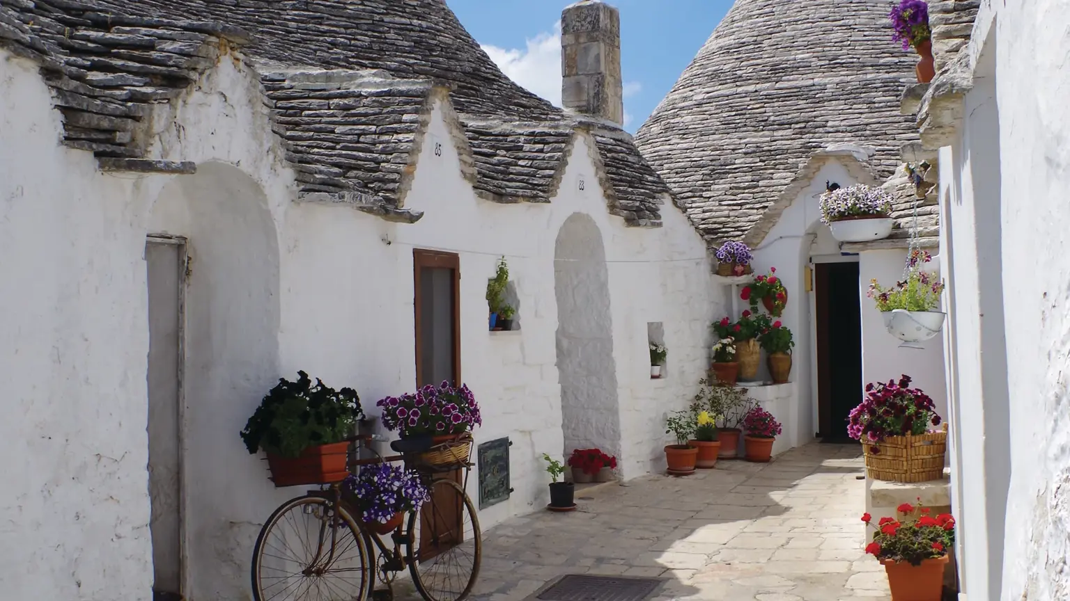 A narrow street in Alberobello lined with whitewashed trulli houses under grey conical roofs, purple flowers along the walls